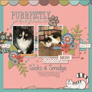 Socks & Smidge 8-31-24