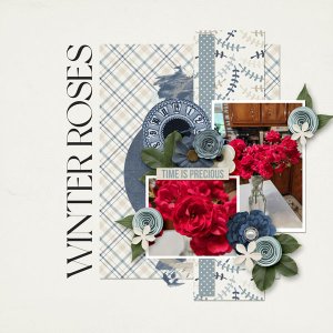 Winter Roses