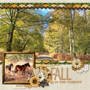 Fall-in-forest-JY.jpg