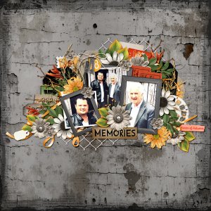 Memories-Pieces of Autumn