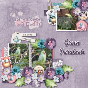 Green Parakeets