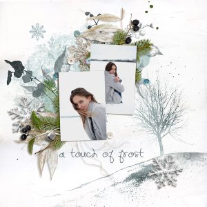 A Touch of Frost