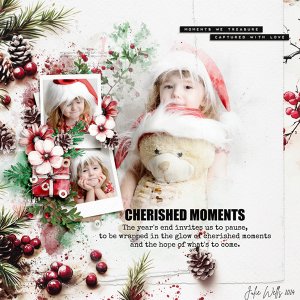 cherised-moments