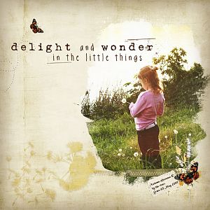 Delight & Wonder 1