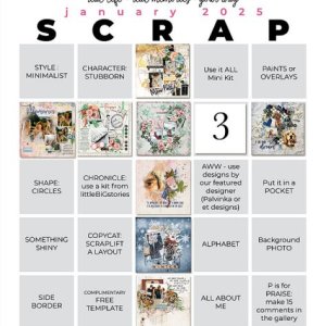 Scrap Bingo Jan 2025