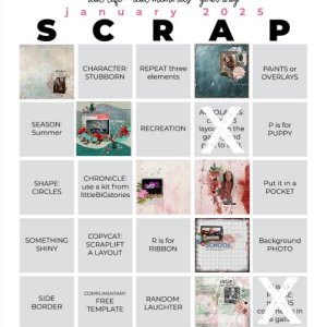 My Scrapbook Bingo Jan. 2025