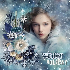 Winter holiday