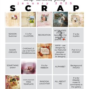 January 2025 Scrap Bingo