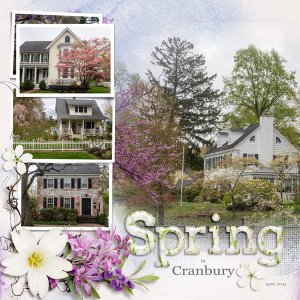 Spring in Cranbury