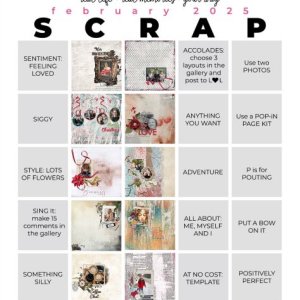 February 2025 Scrap Bingo Card