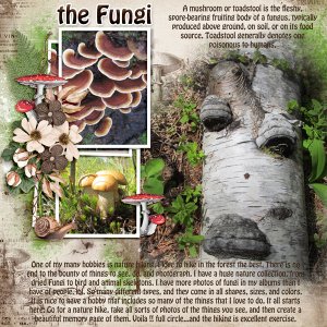 The Fungi