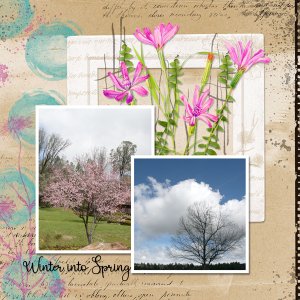 Winter into Spring