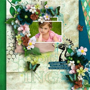 Capture The Beauty Of Spring
