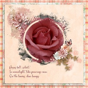 Dew-on-Roses-web.jpg