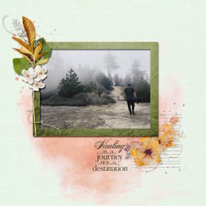 Healing Journey
