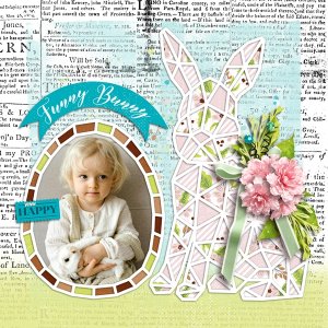 Funny Bunny