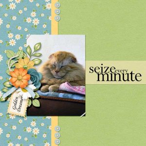 9-Traditional-Seize Every Minute
