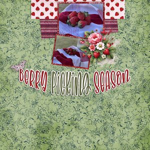 Berry-Fields-Layout-web.jpg