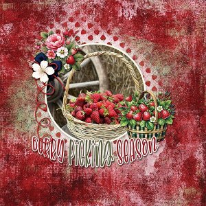 Berry Picking Season