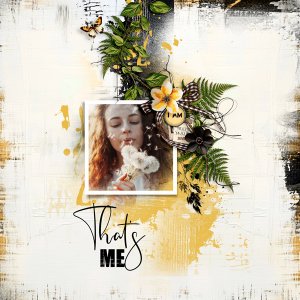 Art Box No.26 by TirAmisu design