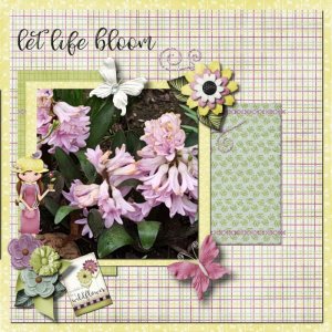 fayette_let-kife-bloom-traditional-anja.jpg