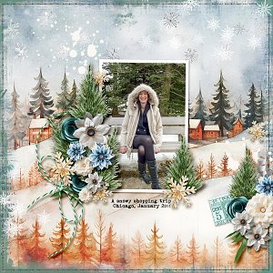 Snowy Shopping Trip