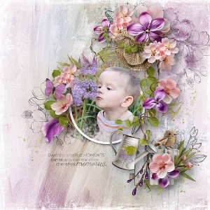 Moments In Bloom