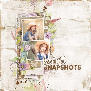 Beautiful Snapshots