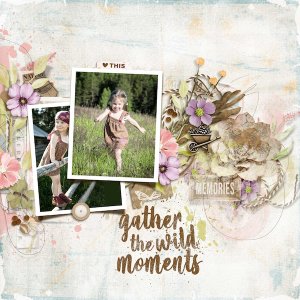 Gather the wild moments