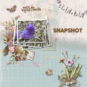 Wildflowers