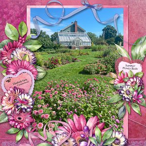 Summer Flower Beds