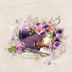 Moments in bloom