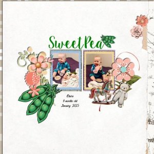 Sweet Pea