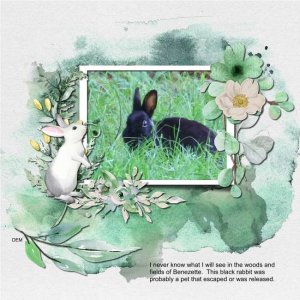 Pickleberry Pop March Challenges - Black Bunny.jpg