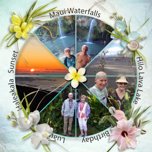 hawaii-pie-chart.jpg