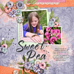 Sweet Pea