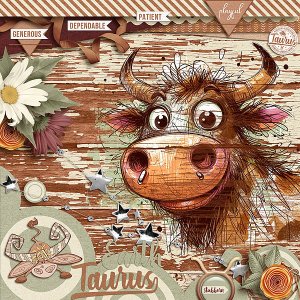 Taurus - Earth