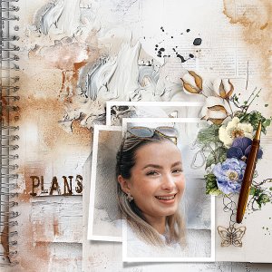 plans
