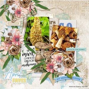 Morel Hunting