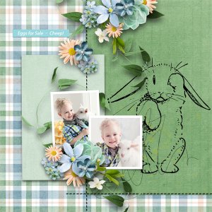 Believe In The Bunny