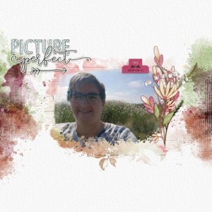 2025-04-11_PicturePerfect