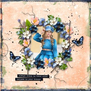 2025 iNSD Grab Bag-"Dare to Dream"