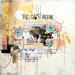 Cats Meow