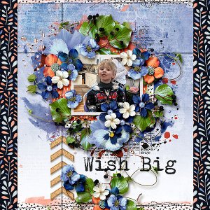 Wish Big