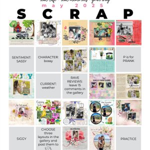 2025-05 Scrapbook Bingo