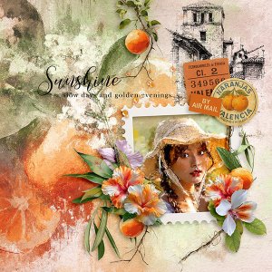Sunshine and Oranges