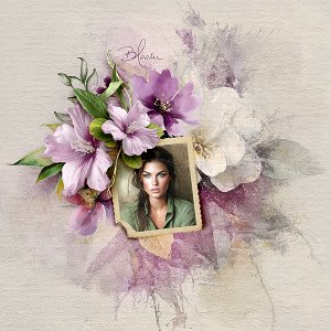 Bloom