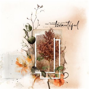 Seasons