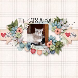 The Cat's Meow