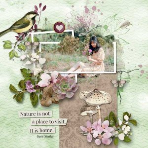 natures-beauty-HSA-600-zanthia.jpg